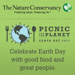 Picnic for the Planet 2011