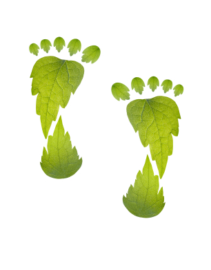 Reduce Your Company’s Carbon Footprint