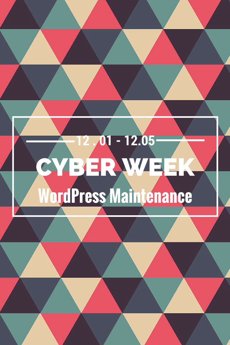 CyberWeek Deals: WordPress Maintenance