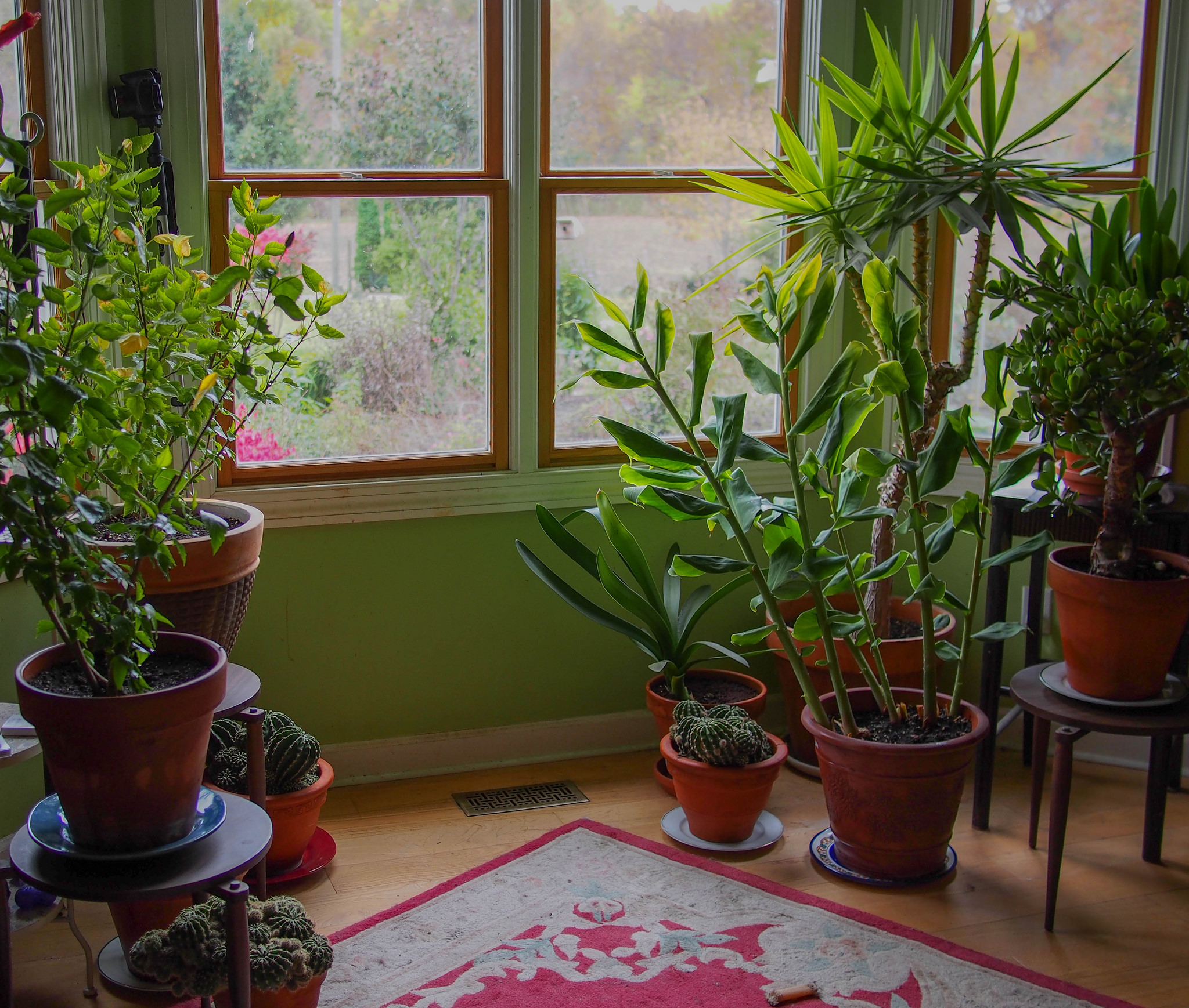 10 Easy Ways to Make Your Home More Eco-Friendly