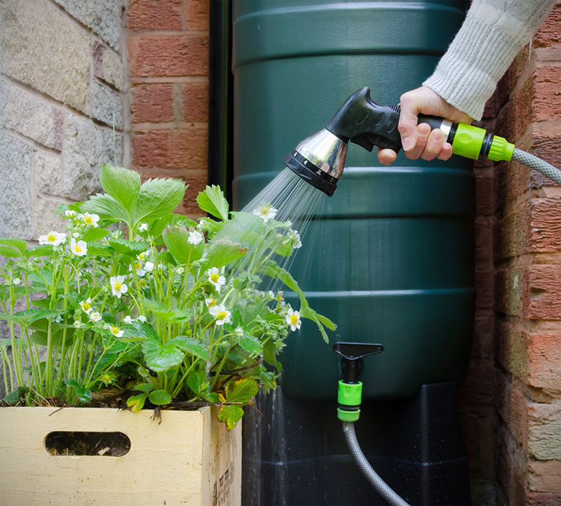 Why Rainwater Harvesting is a Viable Solution