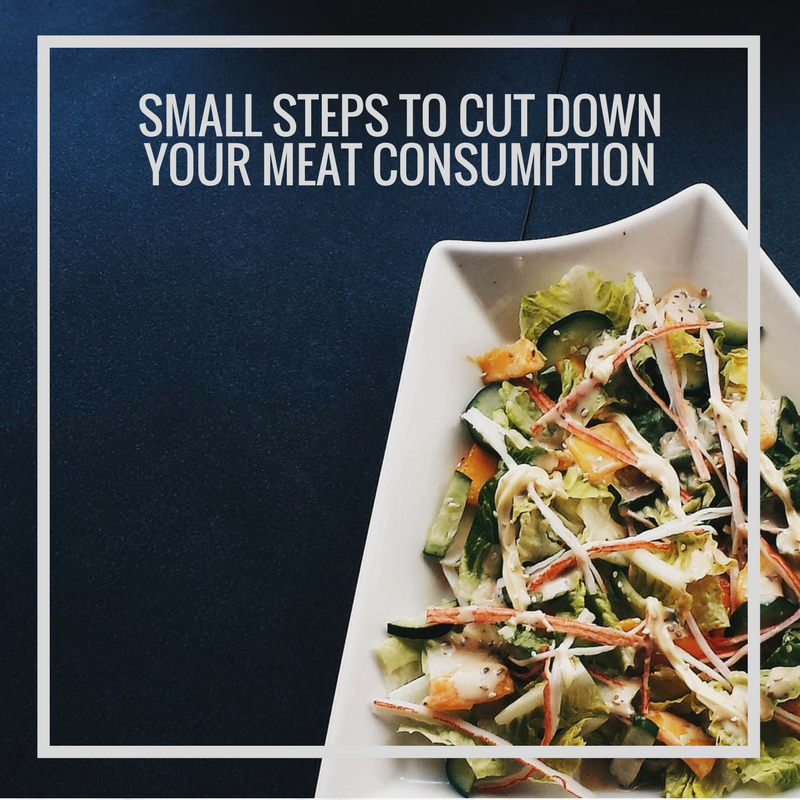 Small Steps to Cut Down Your Meat Consumption