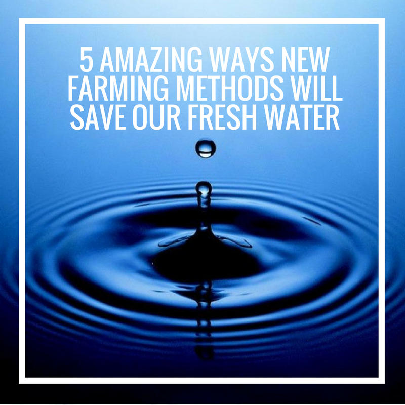 5 Amazing Ways New Farming Methods Will Save Our Fresh Water