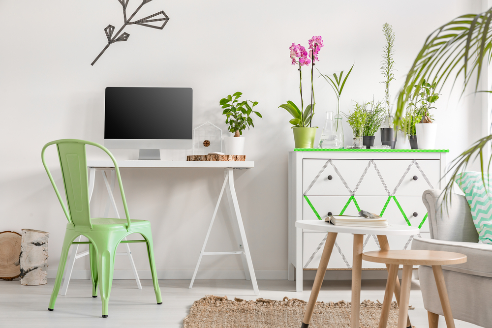 5 Ways You Can Love the Environment both at Home and the Office