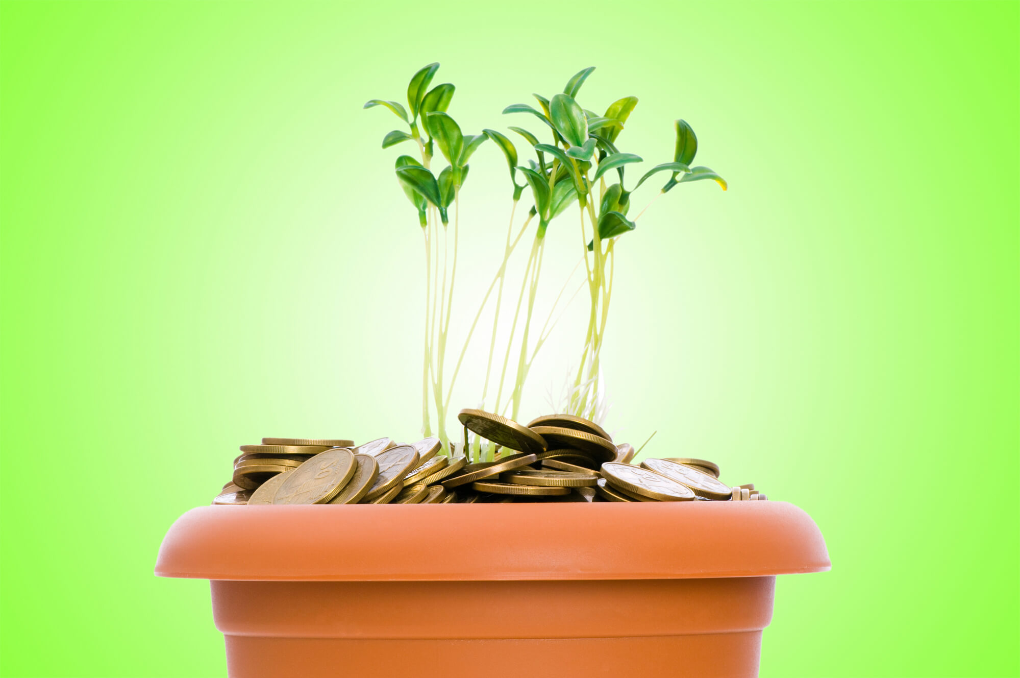 Ten Simple Ways to Go Green On A Budget