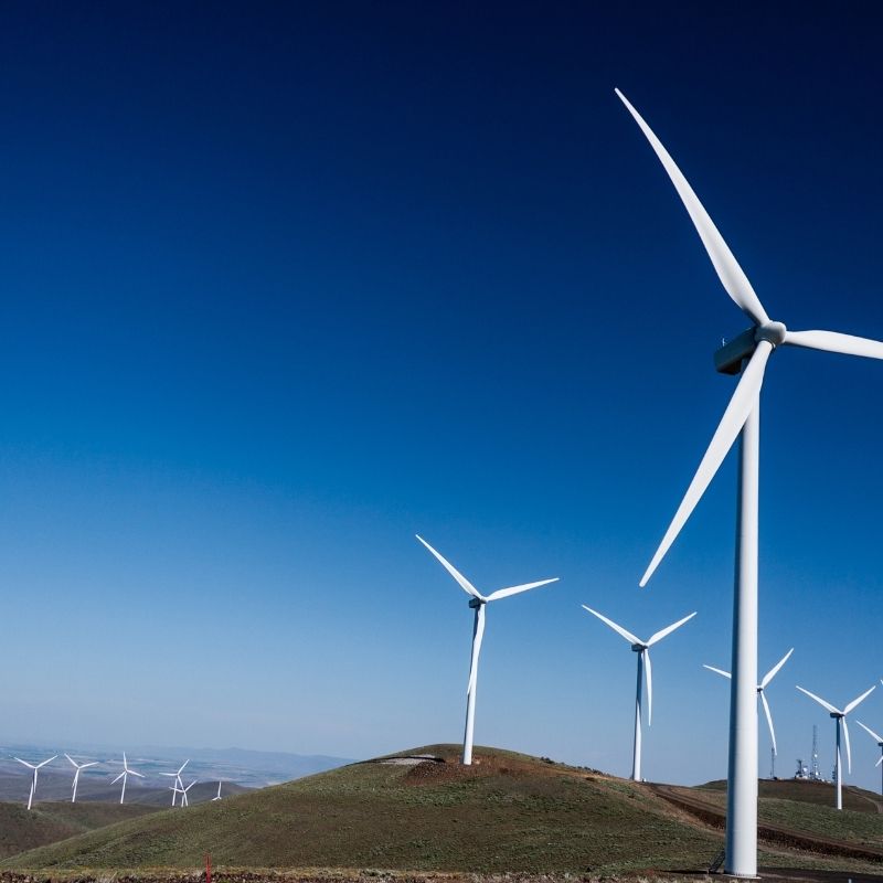 Which Renewable Energy Source Has the Most Promise?