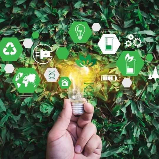 5 Tips for Implementing Sustainability Practices as a Small Business